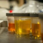 Synthetic Urine: Benefits for Individuals Facing Drug Screenings